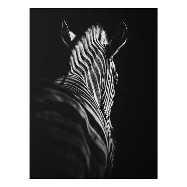 Quadros modernos Dark Zebra Silhouette