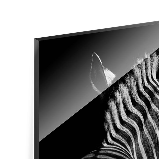 Quadros decorativos Dark Zebra Silhouette