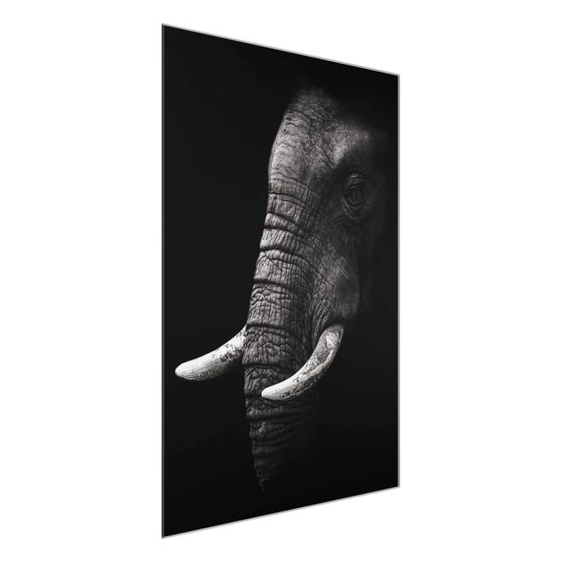Quadros em vidro em preto e branco Dark Elephant Portrait