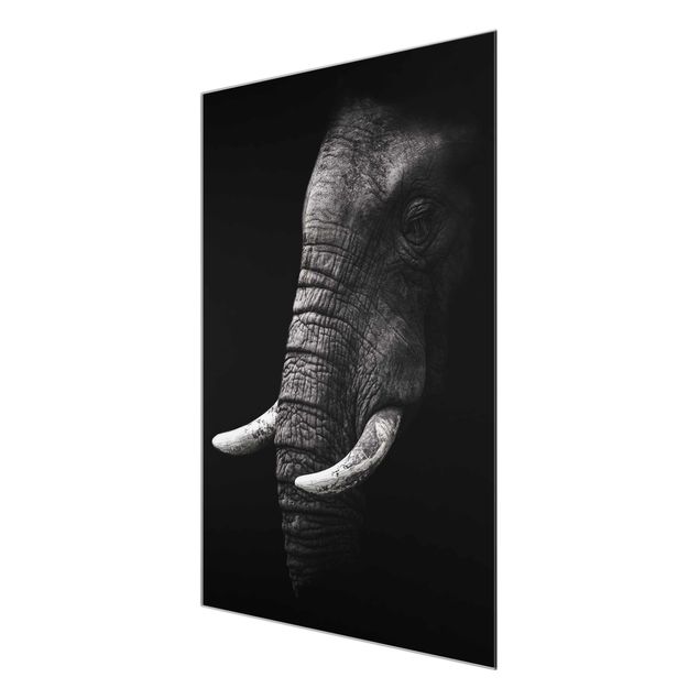 Quadros em vidro animais Dark Elephant Portrait