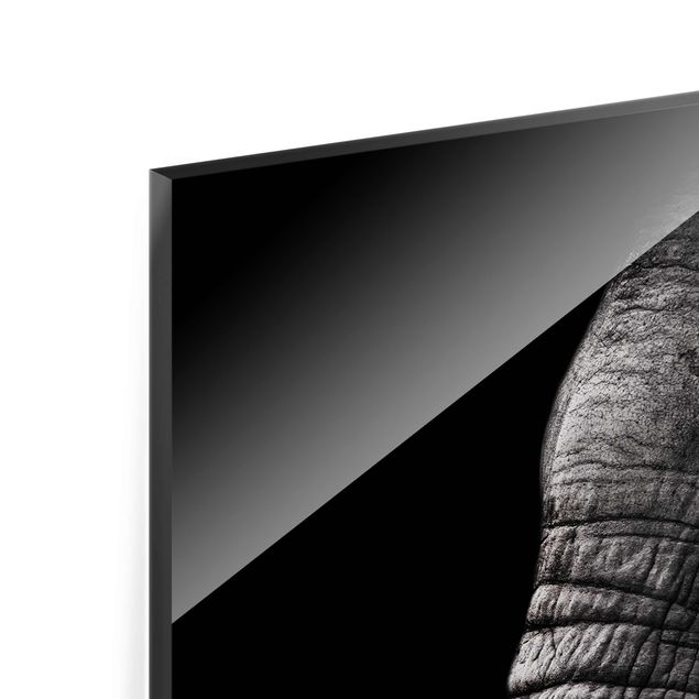quadros em preto e branco Dark Elephant Portrait