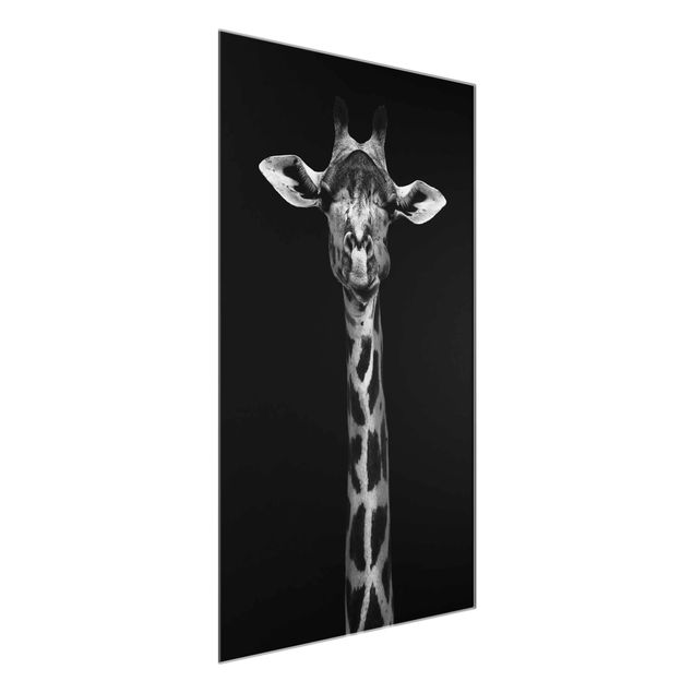 Quadros em vidro animais Dark Giraffe Portrait