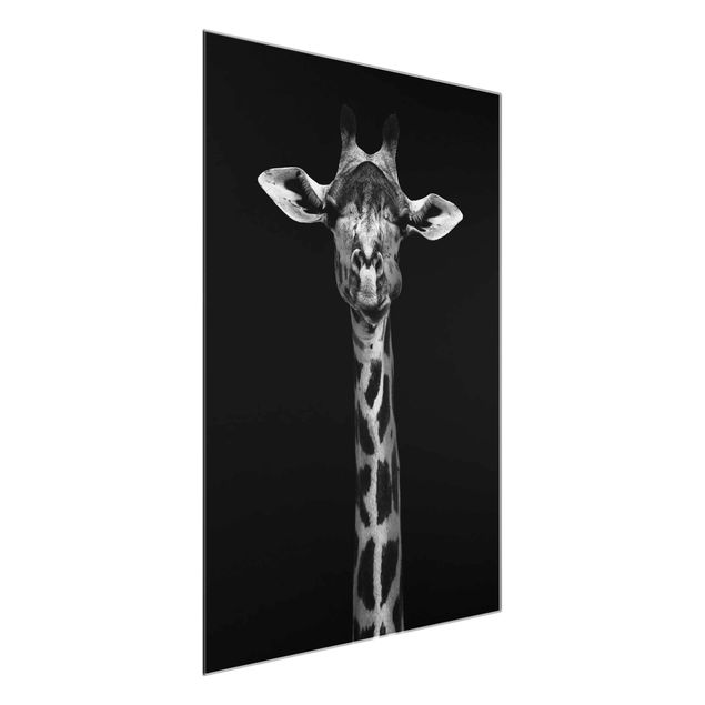 Quadros em vidro animais Dark Giraffe Portrait