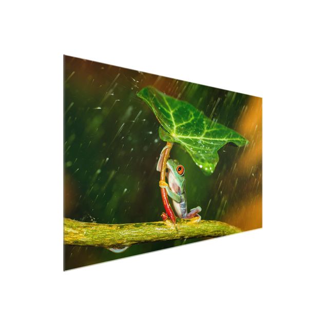 quadro com flores Frog In The Rain