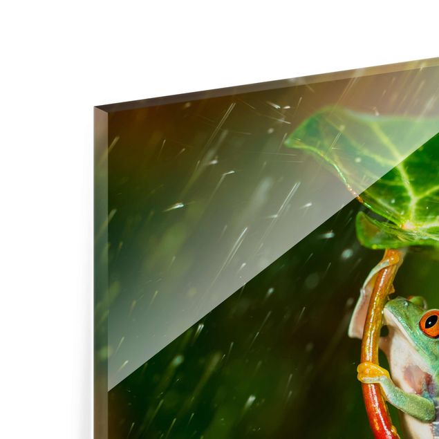 quadro de vidro Frog In The Rain