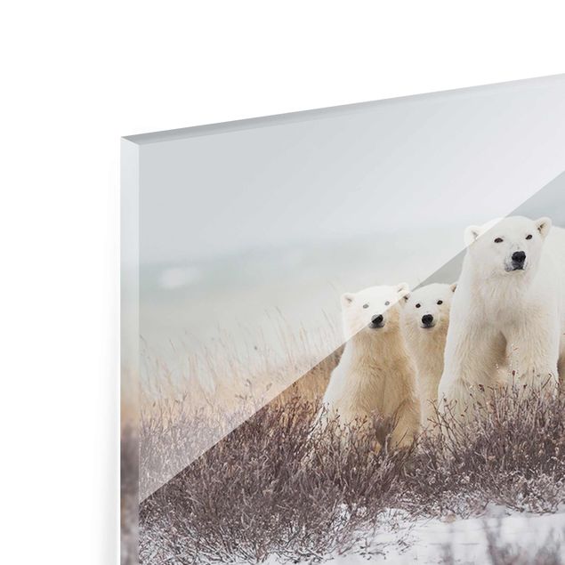 quadro de vidro Polar Bear And Her Cubs