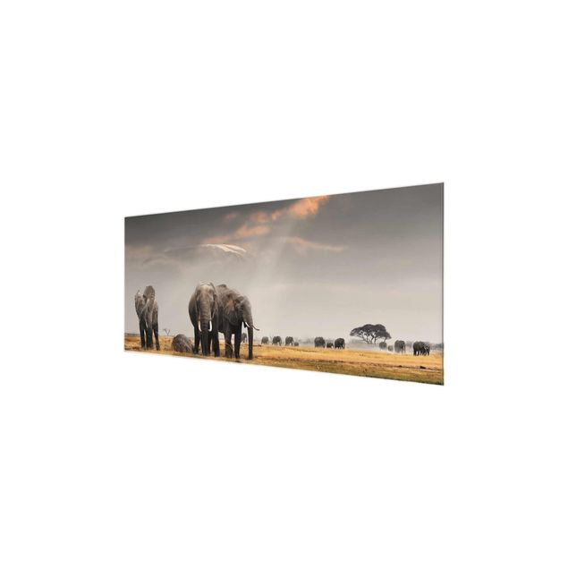 Quadros em vidro paisagens Elephants in the Savannah