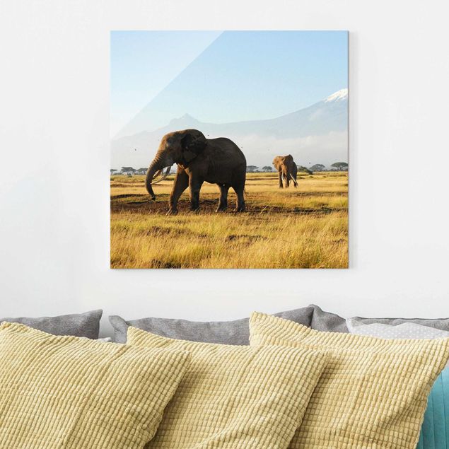 decoraçao para parede de cozinha Elephants In Front Of The Kilimanjaro In Kenya