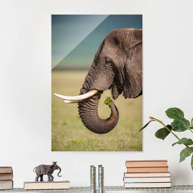 decoraçao para parede de cozinha Feeding Elephants In Africa