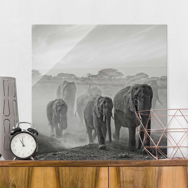 decoraçao para parede de cozinha Herd Of Elephants