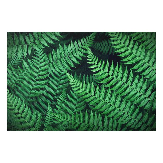 quadro decorativo verde Fern