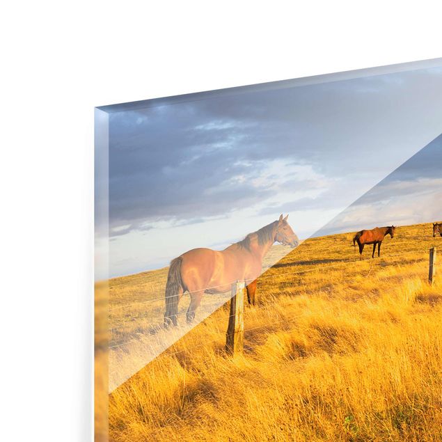 Quadros de Rainer Mirau Field Road And Horse In Evening Sun