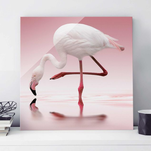 decoraçao para parede de cozinha Flamingo Dance