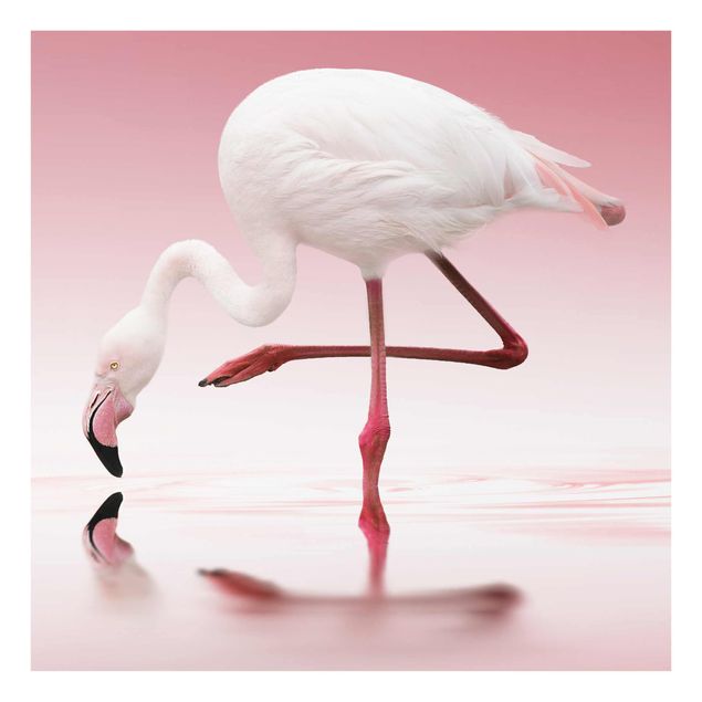 Quadros rosas Flamingo Dance