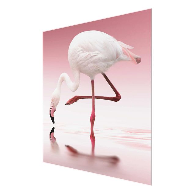 decoração quadros Flamingo Dance