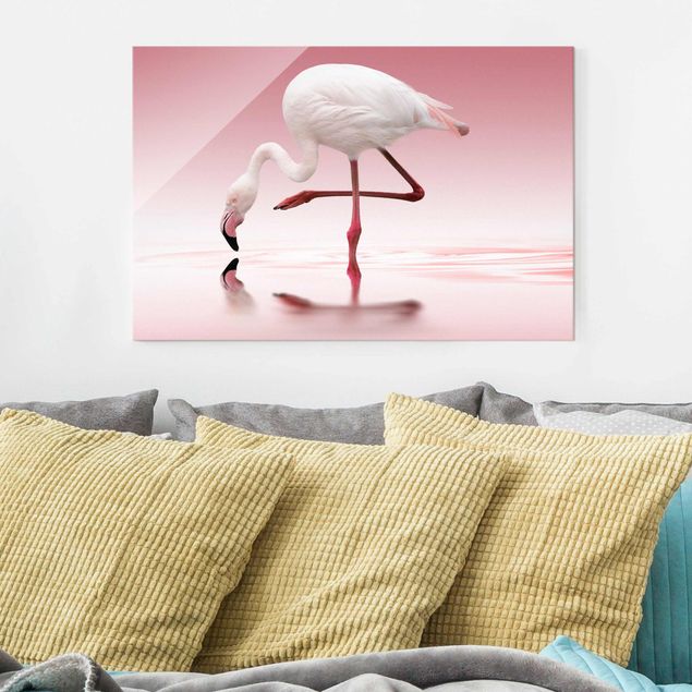 decoraçao para parede de cozinha Flamingo Dance