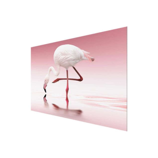 decoração quadros Flamingo Dance