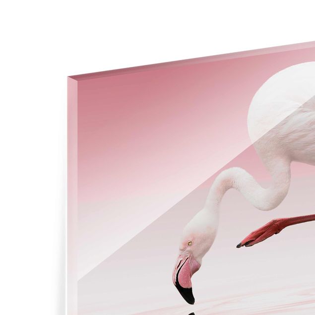 quadro de vidro Flamingo Dance
