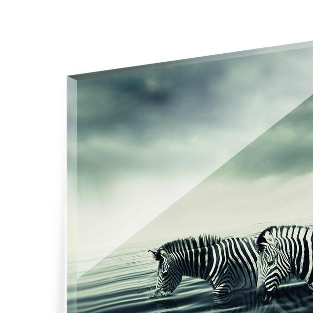 Quadros em vidro Woman Posing With Zebras