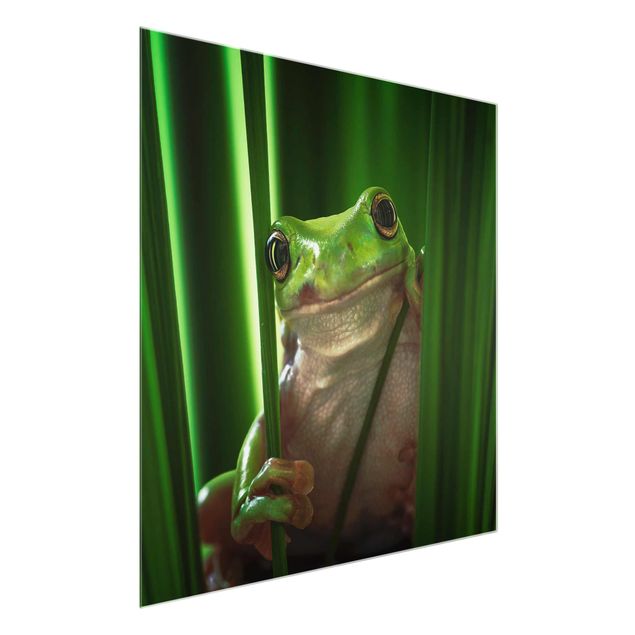 quadro animal Merry Frog