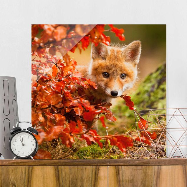decoraçao cozinha Fox In Autumn