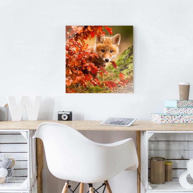 quadro de árvore Fox In Autumn