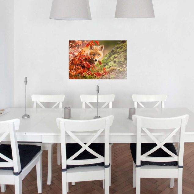 quadros de paisagens Fox In Autumn