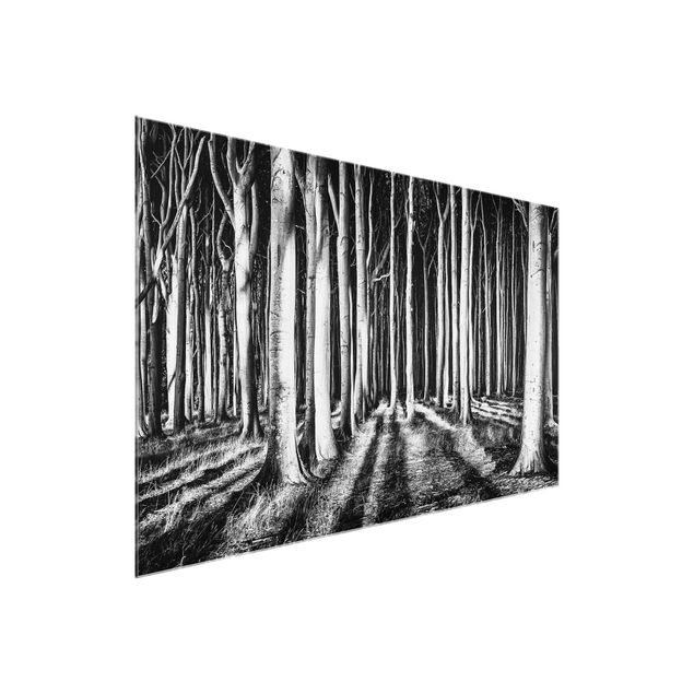 Quadros em vidro em preto e branco Spooky Forest
