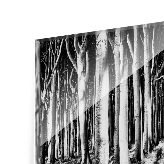 quadros em preto e branco Spooky Forest