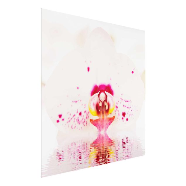 Quadros em vidro flores Dotted Orchid On Water