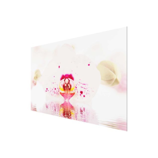 quadro com flores Dotted Orchid On Water