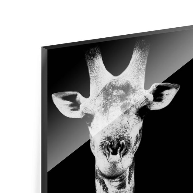 quadro de vidro Giraffe Duo black & white