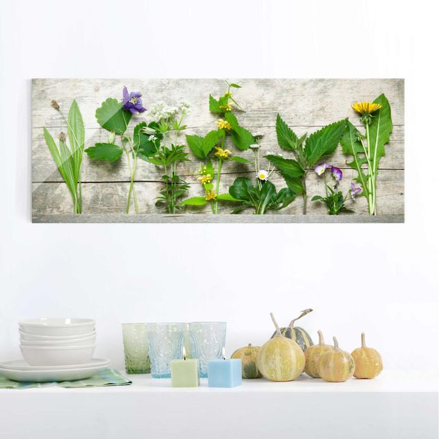 quadros decorativos para sala modernos Medicinal and Meadow Herbs
