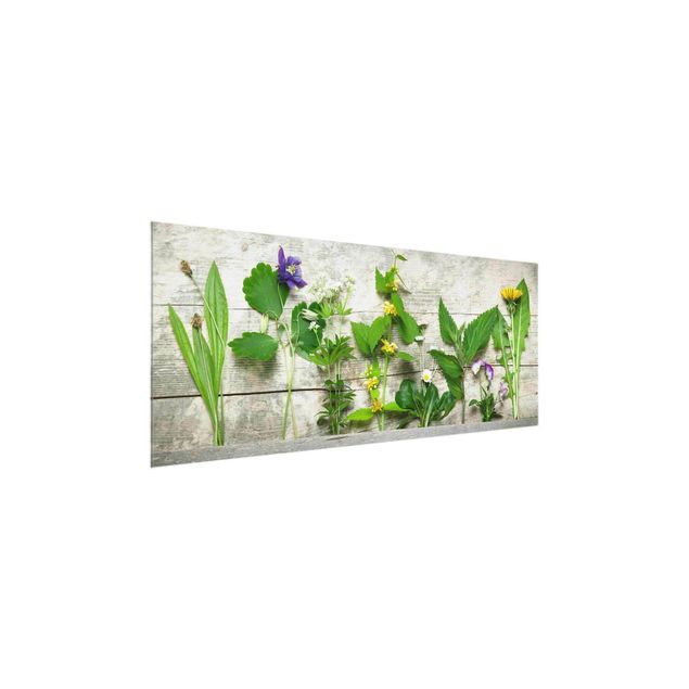 quadros para parede Medicinal and Meadow Herbs
