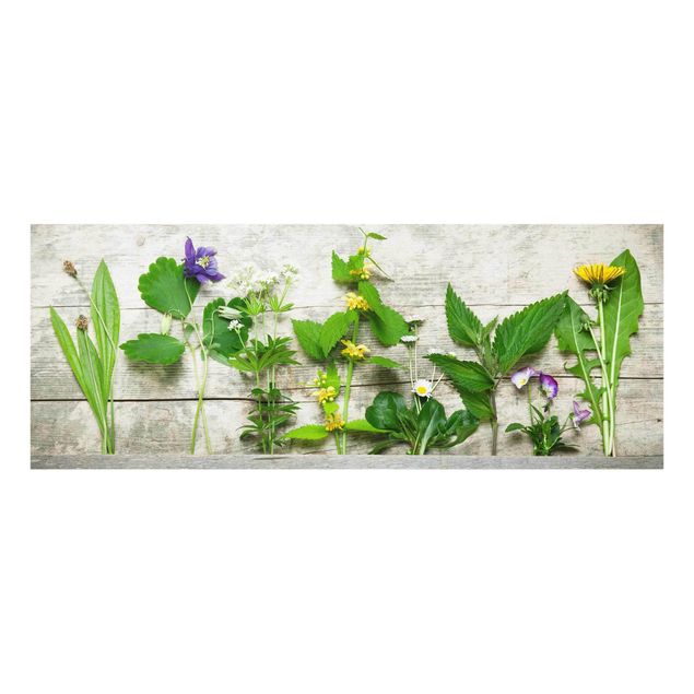 quadro em vidro Medicinal and Meadow Herbs