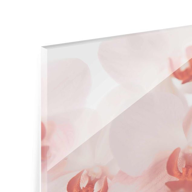 quadro de vidro Bright Orchid Flower Wallpaper - Svelte Orchids