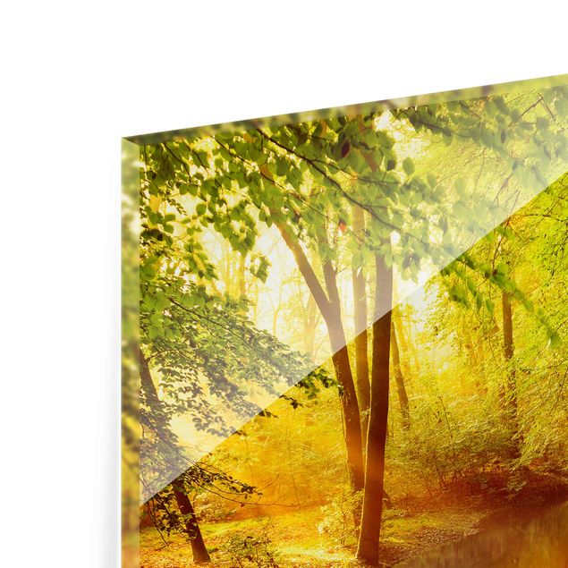 quadros para parede Autumn Forest
