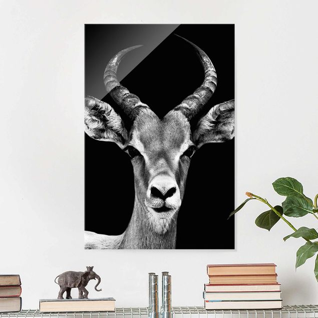 decoraçoes cozinha Impala antelope black & white