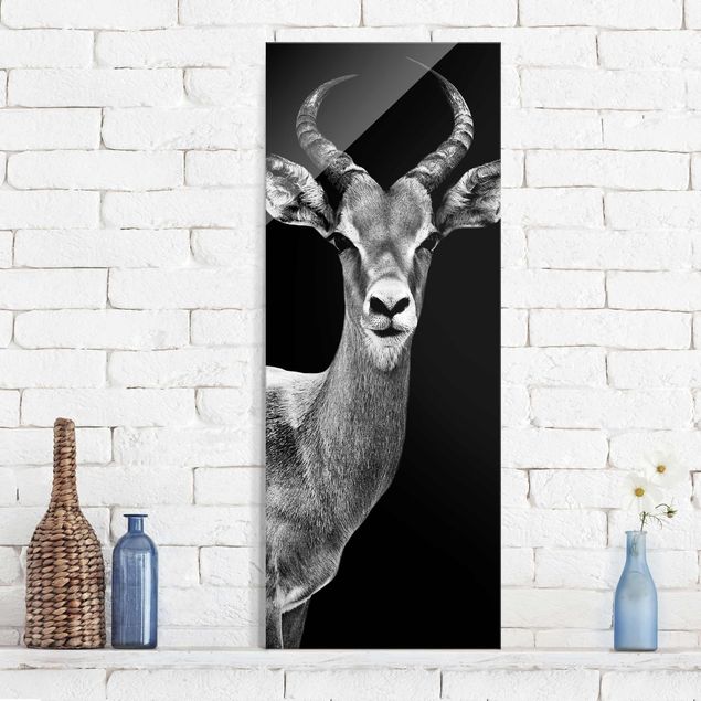 decoraçoes cozinha Impala antelope black & white