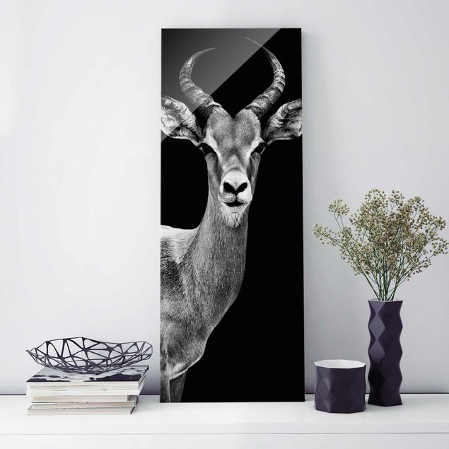 Quadros em vidro em preto e branco Impala antelope black & white