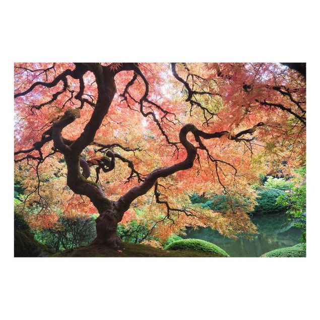quadro da natureza Japanese Garden
