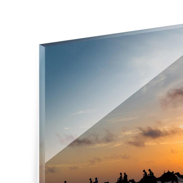 quadros para parede Camels in the sunset