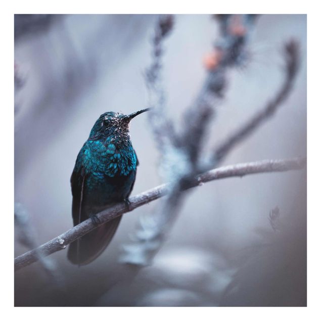 Quadros em lilás Hummingbird In Winter