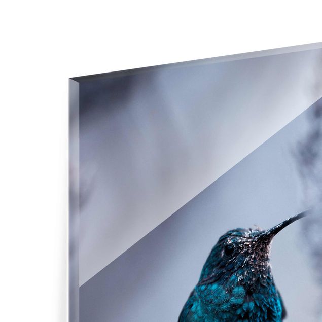 quadro de vidro Hummingbird In Winter