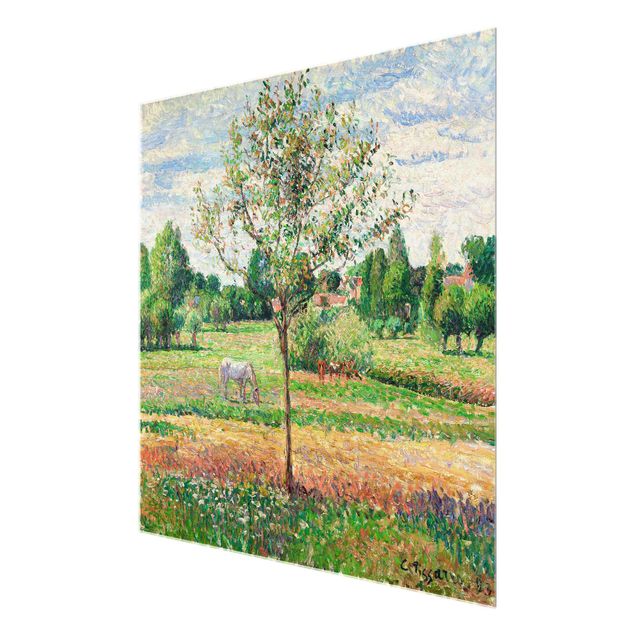 Quadros por movimento artístico Camille Pissarro - Meadow with Grey Horse, Eragny