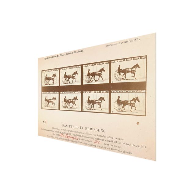 quadros modernos para quarto de casal Eadweard Muybridge - The horse in Motion