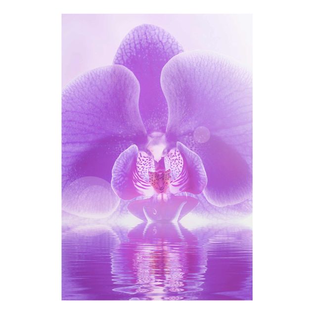 Quadros florais Purple Orchid On Water