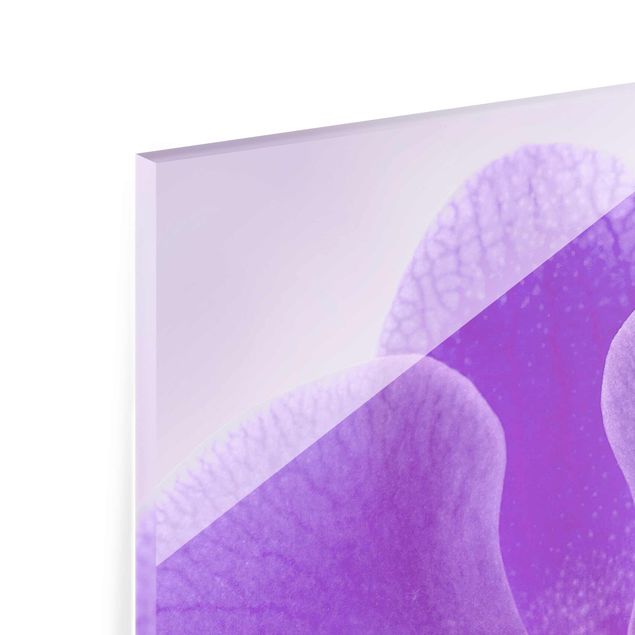 quadro de vidro Purple Orchid On Water