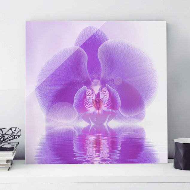 Quadros em vidro de orquídeas Purple Orchid On Water