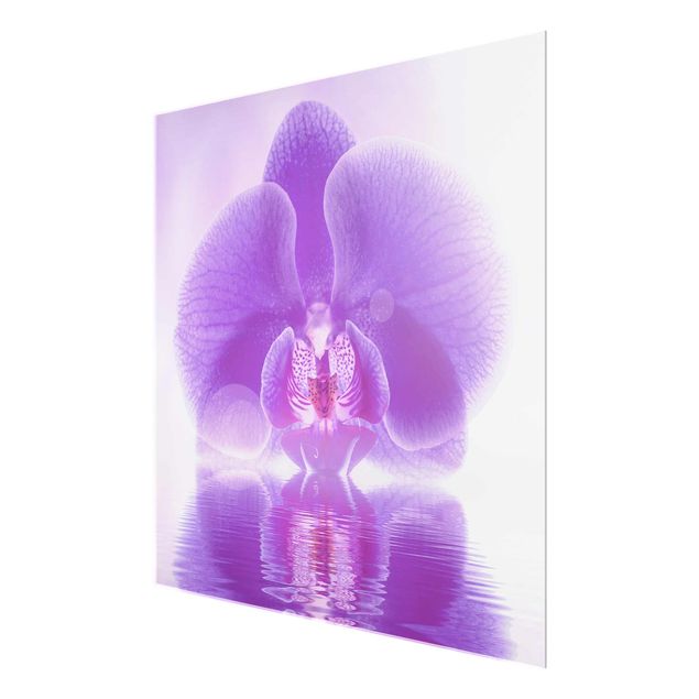 quadro com flores Purple Orchid On Water